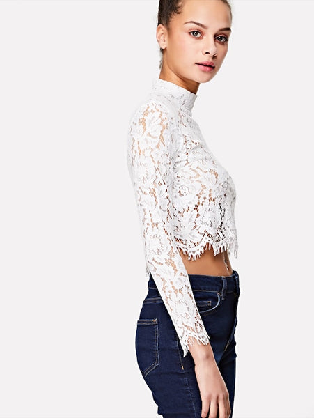 Zip Back Guipure Lace Crop Top