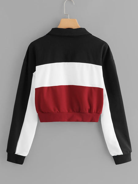 Color Block Zip Up Sweatshirt